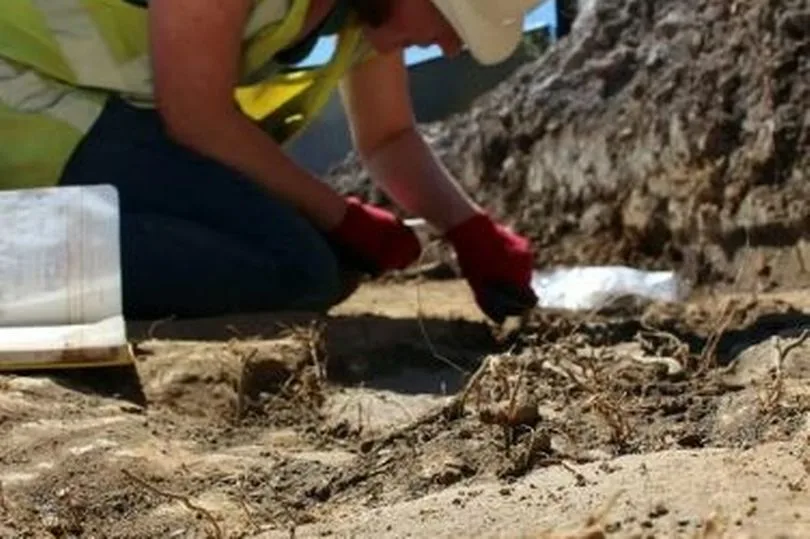 Cotswold Archaeology have published some of the findings of their five-year dig at the site of the former Blackberry Hill Hospital