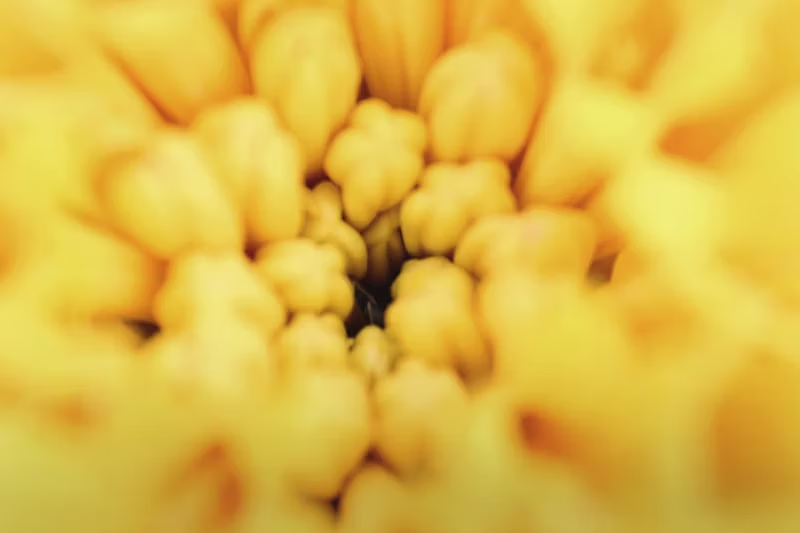small yellow stars expanding