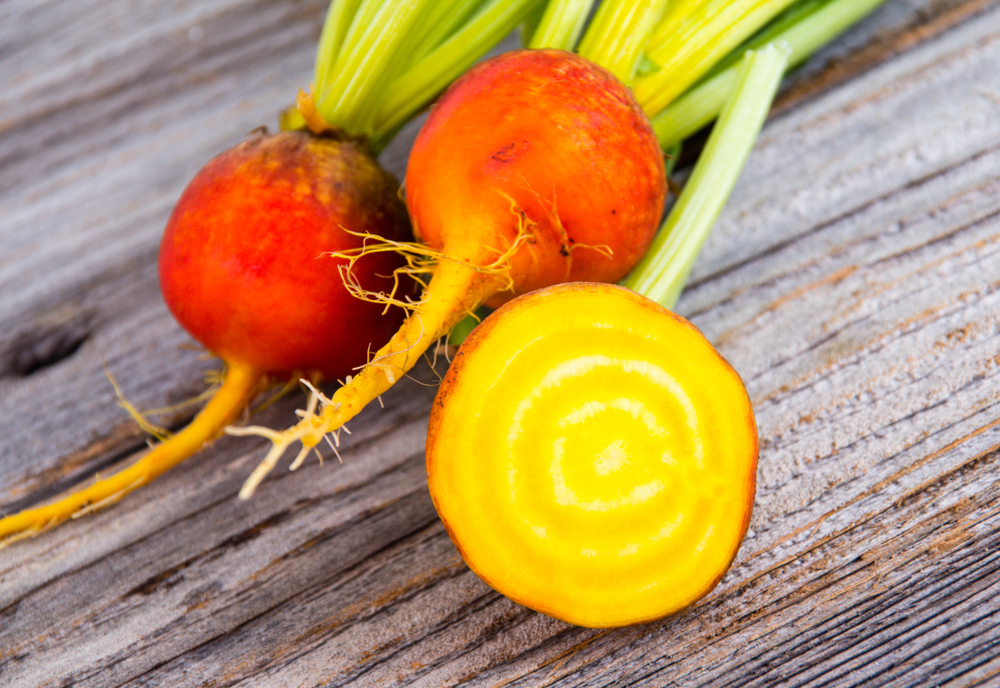 golden beets freshly harvested raw on rustic wood background