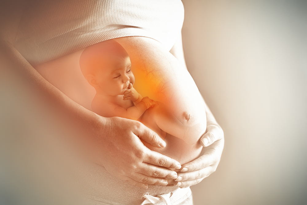 Pregnant woman's belly closeup with a baby inside, conceptual motherhood image