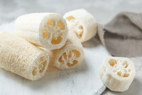 loofah