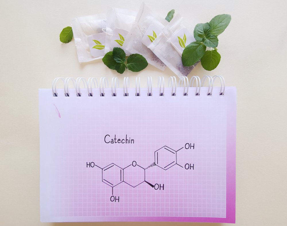 Structural chemical formula of catechin molecule with tea bags and fresh mint leaf. Catechin is a type of natural phenol and antioxidant. It is present in many dietary products, plants, green tea etc.
