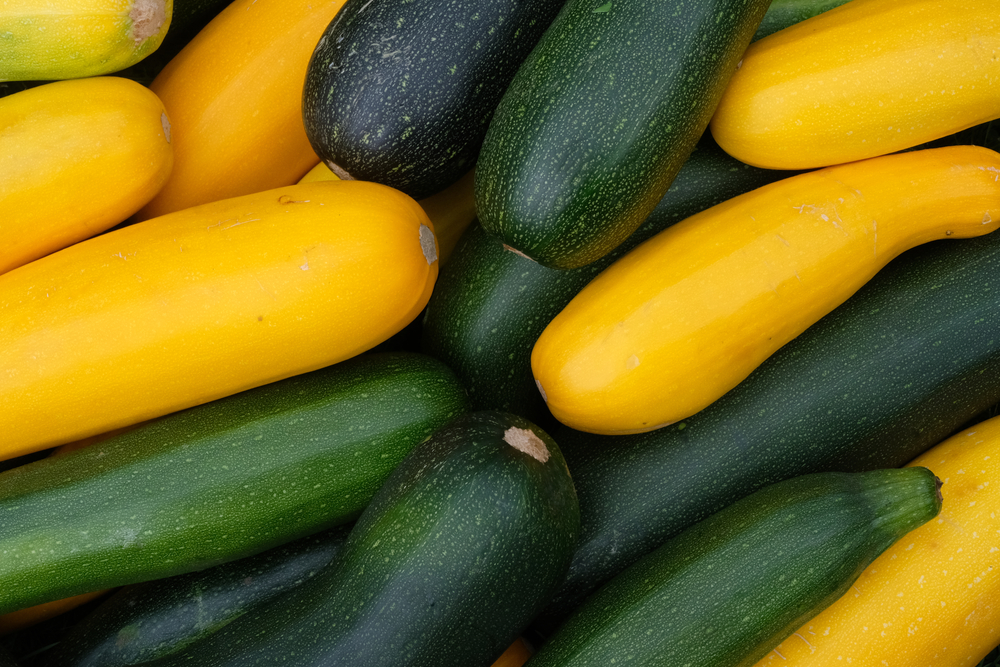 Harvest of healthy yellow and green zucchini