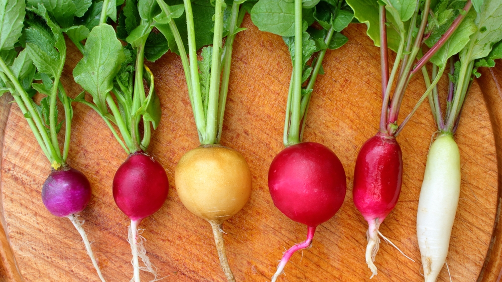 Different types of radishes on a cutting board - purply, red, yellow, white. Different shapes.