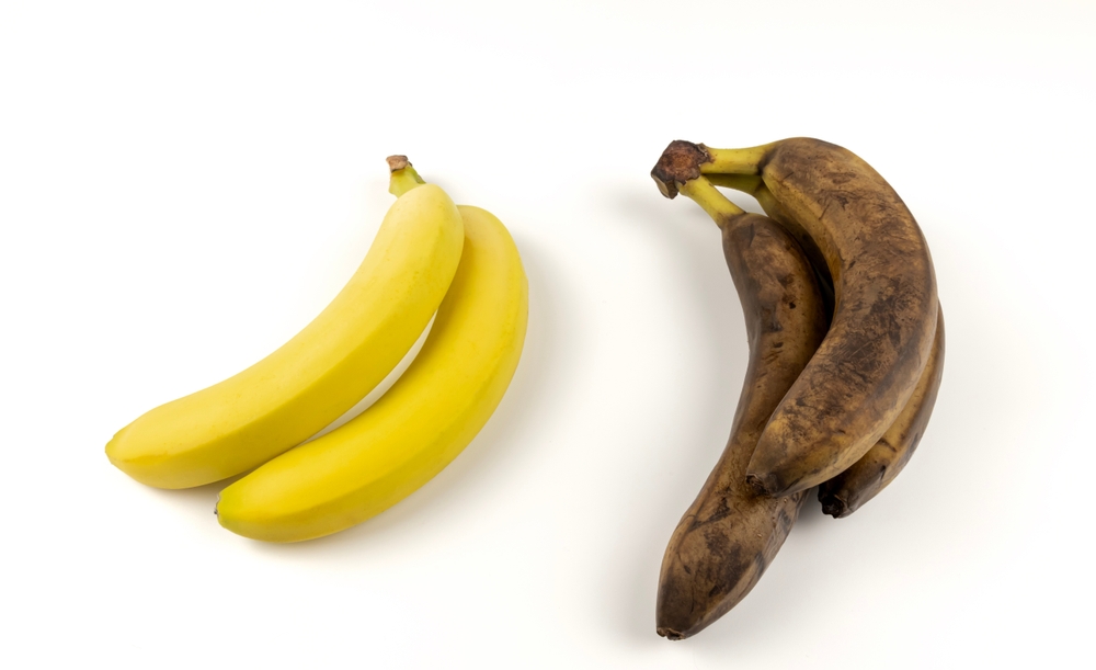 Fresh and rotten bananas. The concept of spoiled fruit.