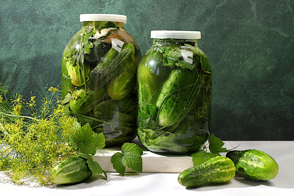 Pickled cucumbers in a jar with garlic and dill on the kitchen table, village harvest, homemade pickling recipe, cucumbers and ingredients for pickling, home canning concept,
