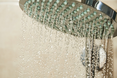 shower head