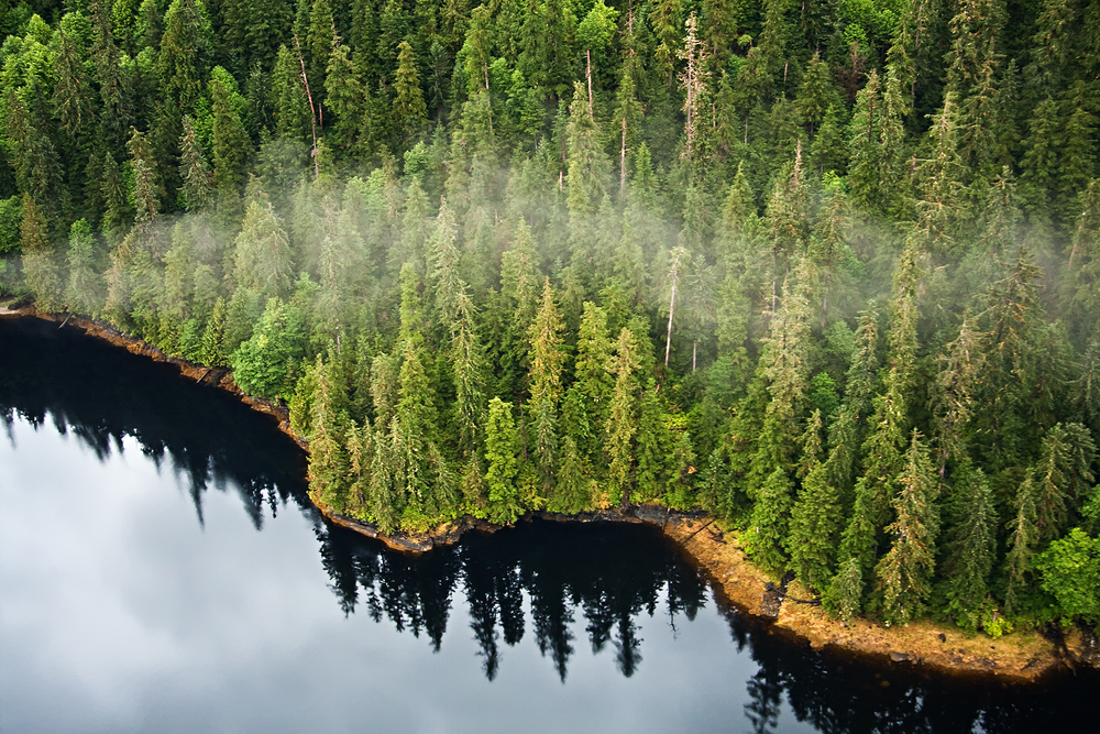 Aerial view of the mist hanging in the Tongass temperate rain forest, Misty Fjords National Monument, Alaska
