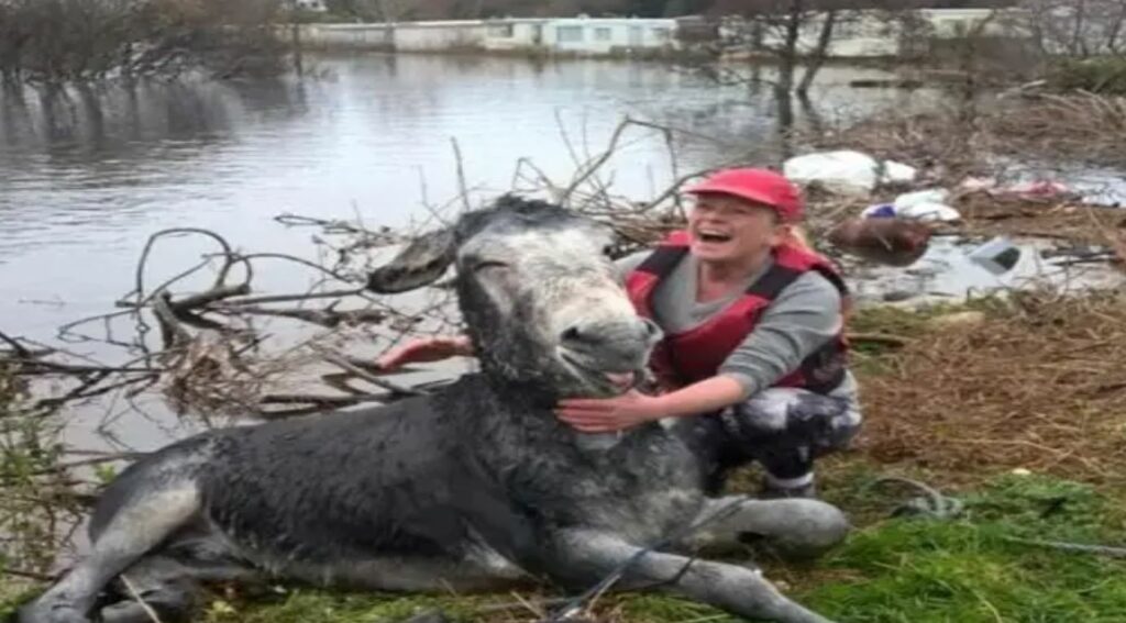 A donkey smiling next to the woman who rescued him. 