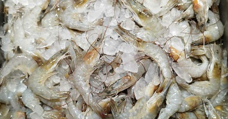 Things To Look For When Buying Shrimp At The Grocery Store - Featured image