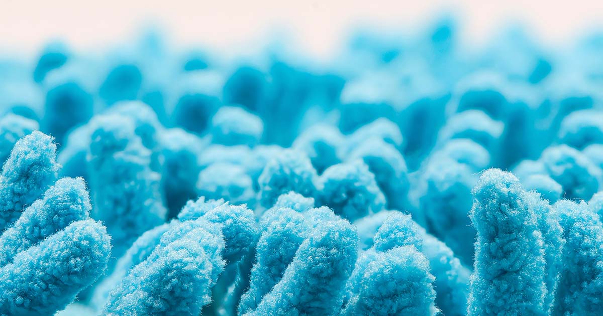 Bartonella: A Stealthy Bacteria With a List of Odd Symptoms