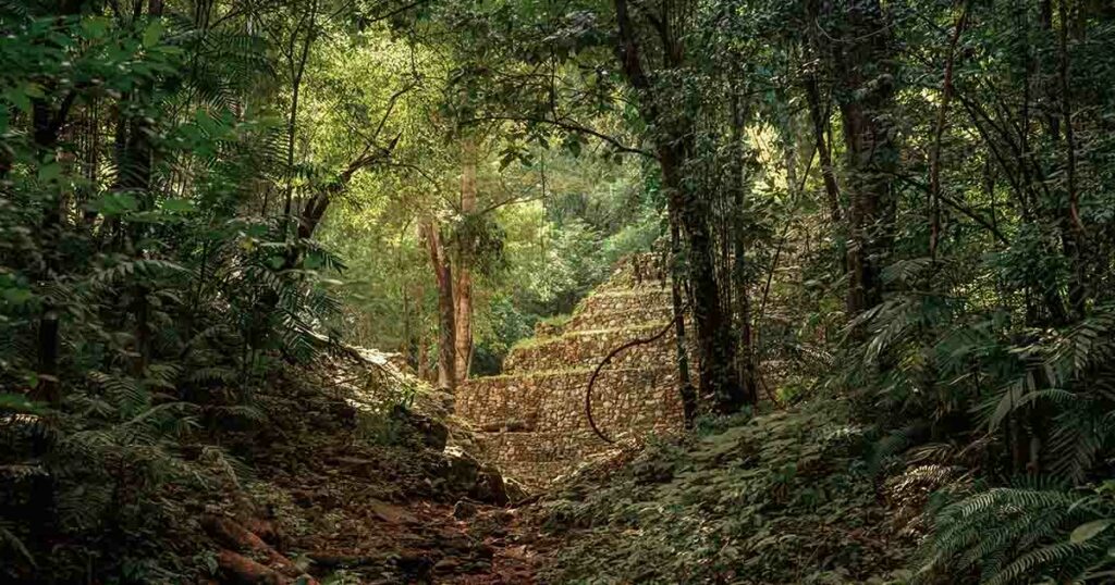 Student Makes Miraculous Discovery of Ancient Mayan City ‘By Accident’ - Featured image