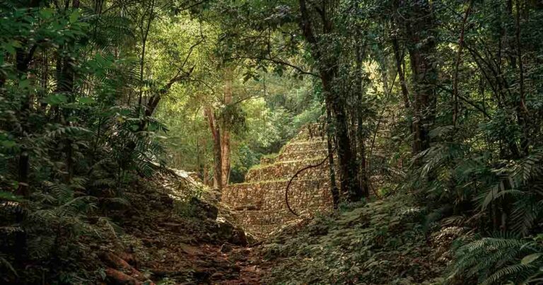 Student Makes Miraculous Discovery of Ancient Mayan City ‘By Accident’ - Featured image