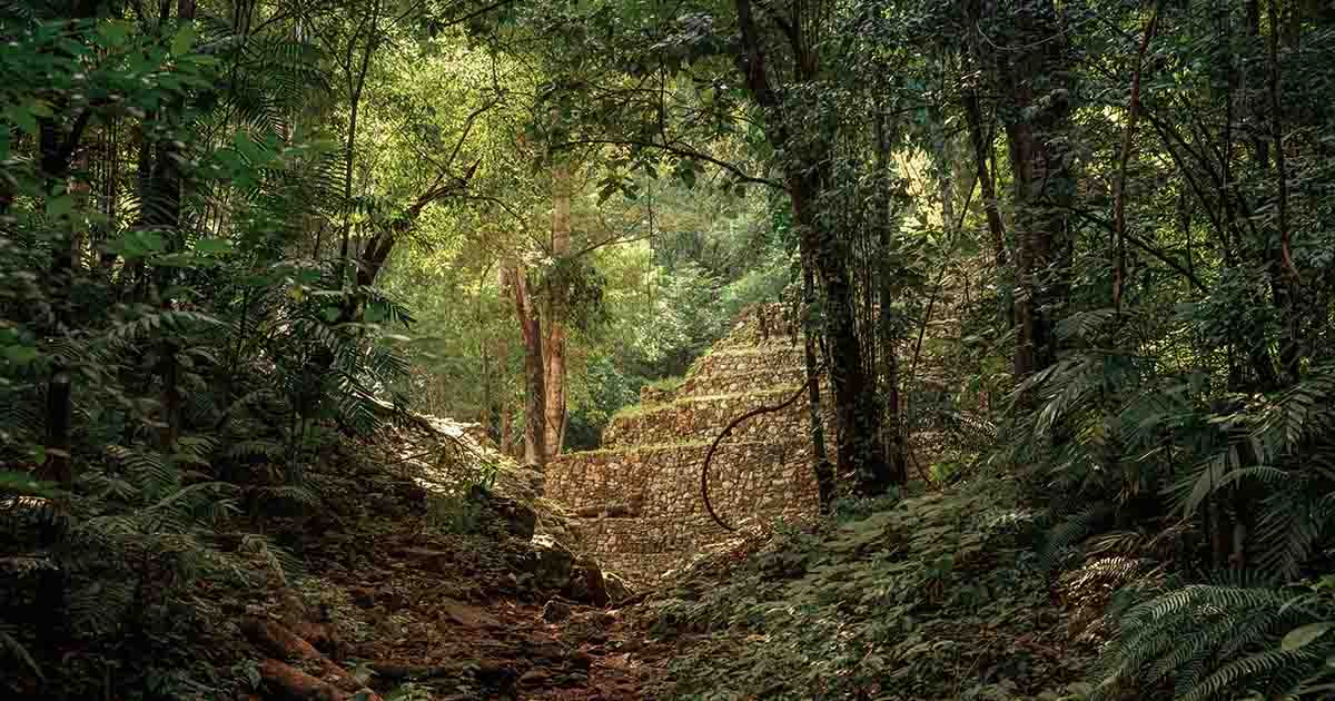 Student Makes Miraculous Discovery of Ancient Mayan City ‘By Accident’