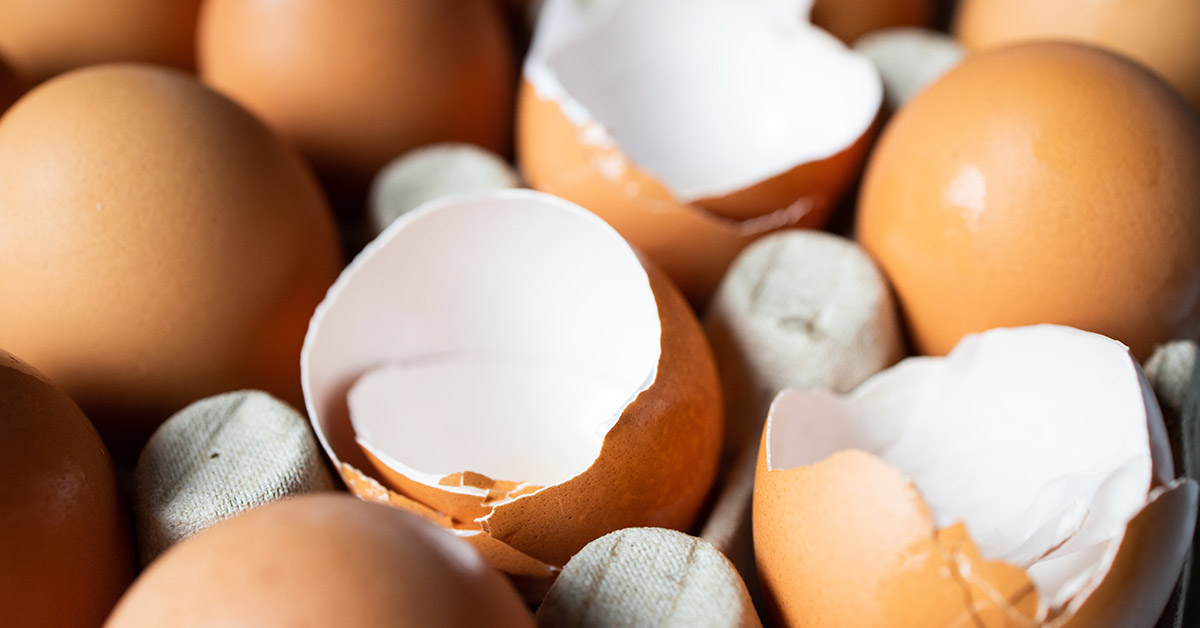 Don’t Toss Those Eggshells: 17 Ways to Reuse Them