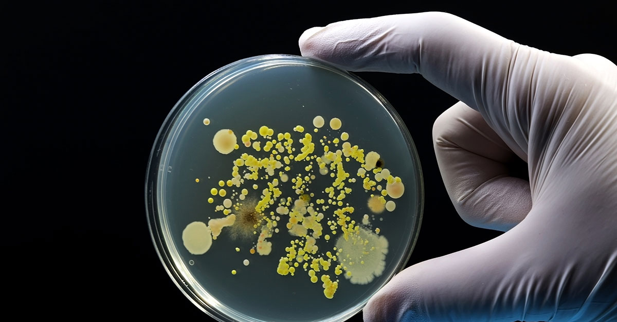 Cheese Sold at Market Basket, Aldi, and More Recalled Due to Listeria Contamination