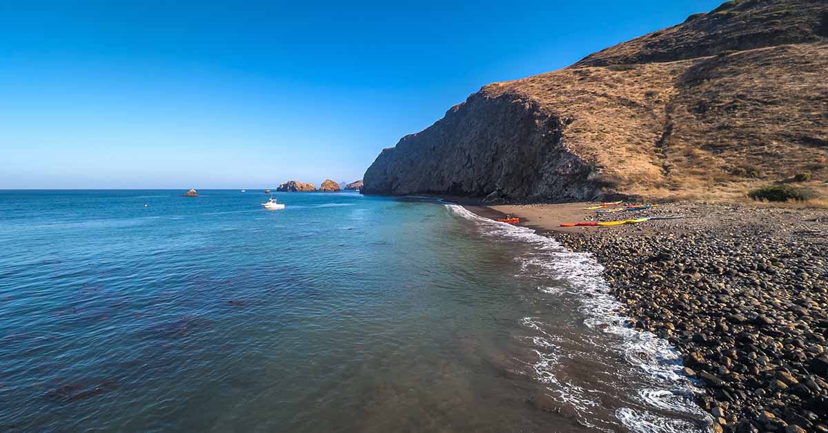  Another So-Called ‘Doomsday’ Fish Has Washed Up On The California Coast