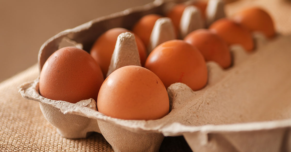Costco Recalls Over 10,000 Cartons of Eggs Due to Possible Salmonella Contamination