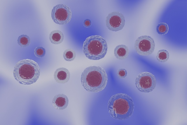 cells