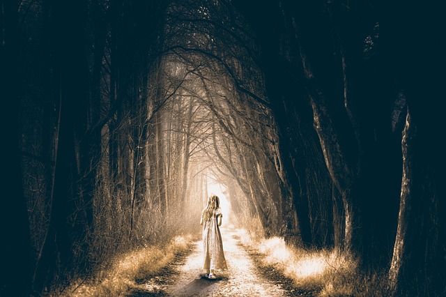 forest dream