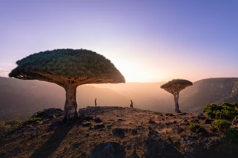 The landscape of Yemen