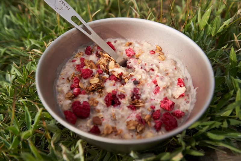 oatmeal with raspberries in it