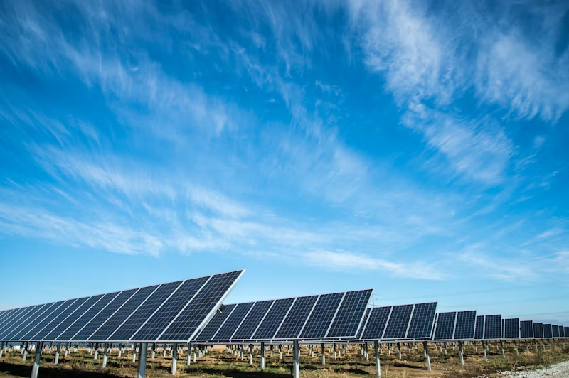 rows of solar panels
