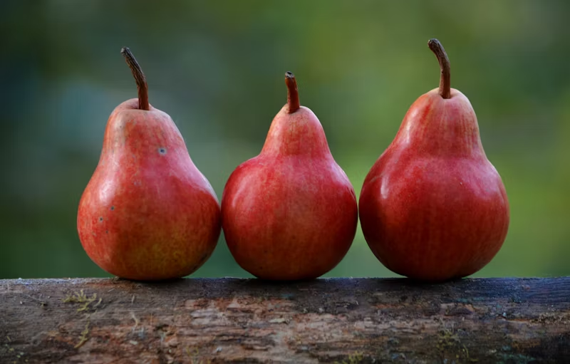 pears with apple skins