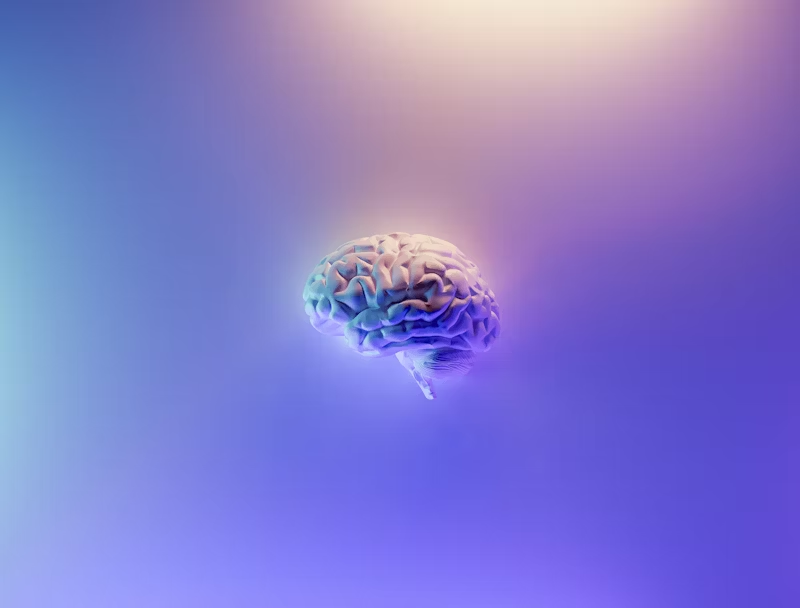 3D brain in purple light