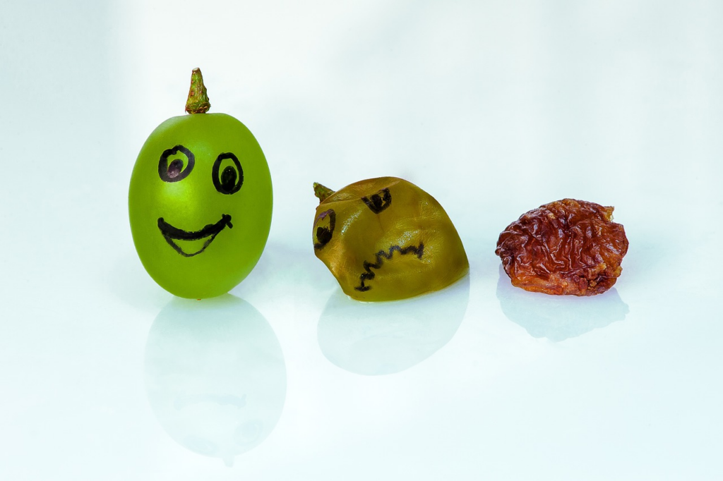 process of grape to raisin