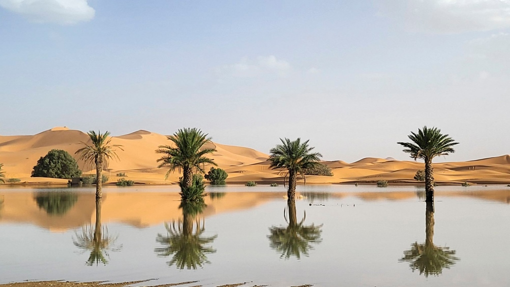 Palm trees reflect in a lake caused by heavy rainfall in the desert town of Merzouga, near Rachidia, in southeastern Morocco on October 2.
