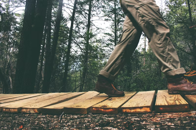 person walking in a forest