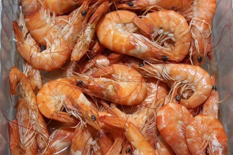 a pile of shrimps