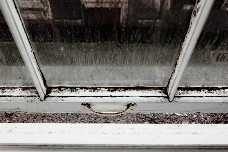 condensation on a window