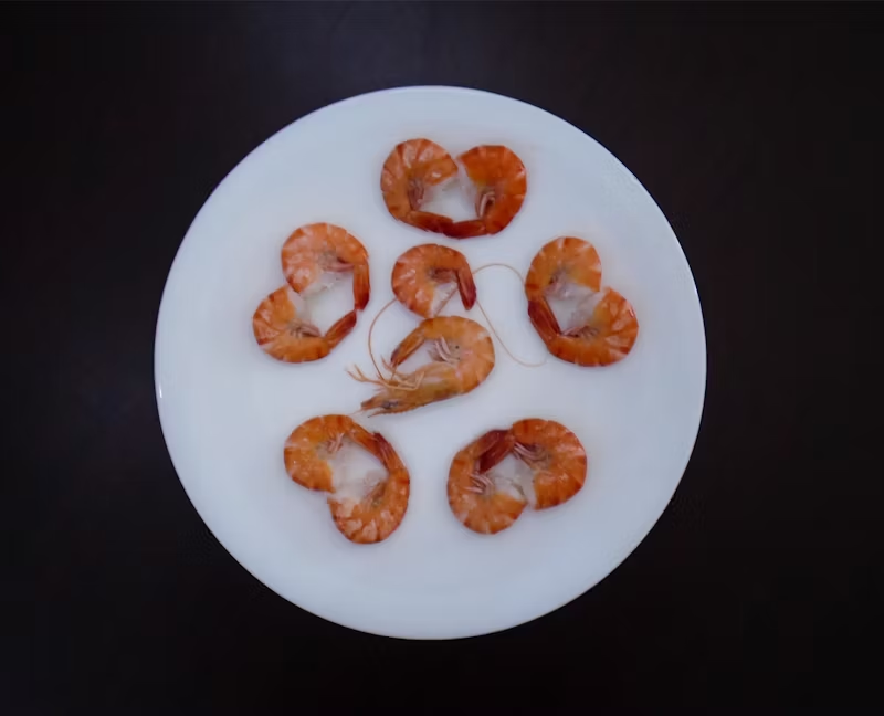 Shrimps paired together making hearts with their tails
