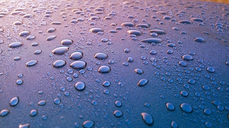 moist surface