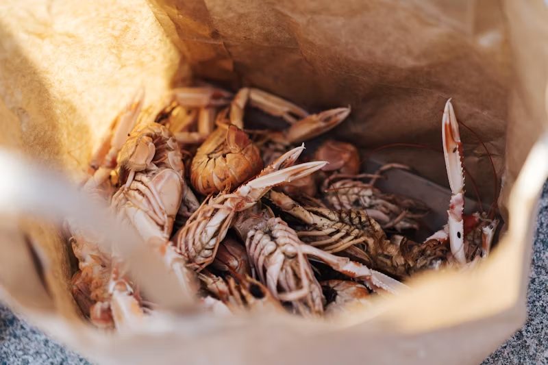 a brown bag full of shrimp and other seafood 