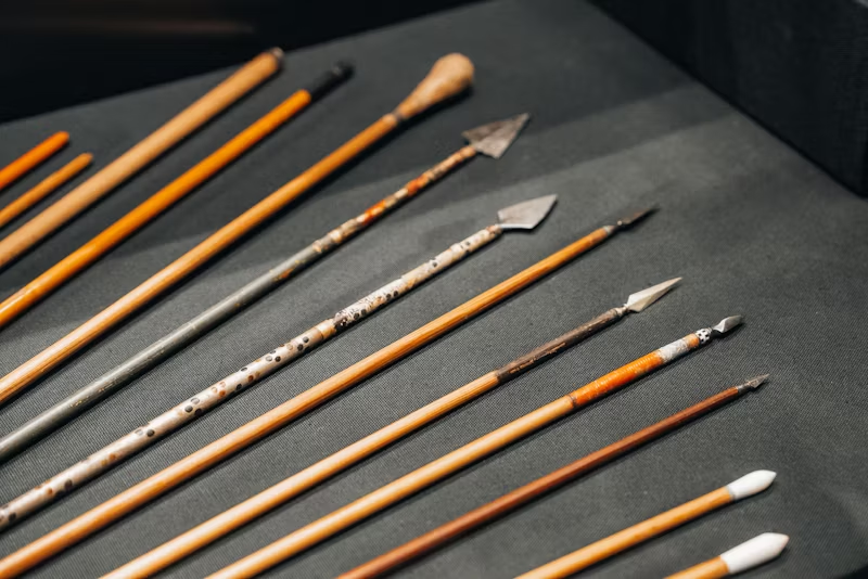 a collection of arrows