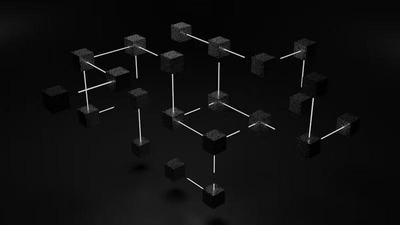 network of connections