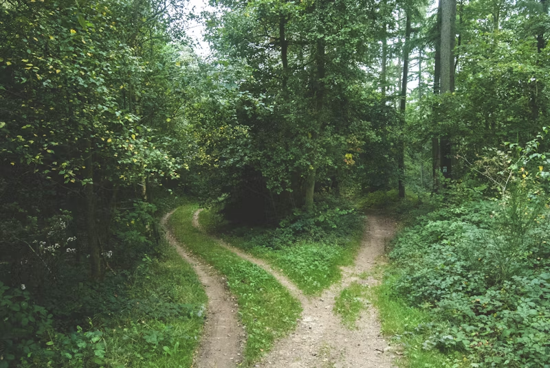 multiple paths
