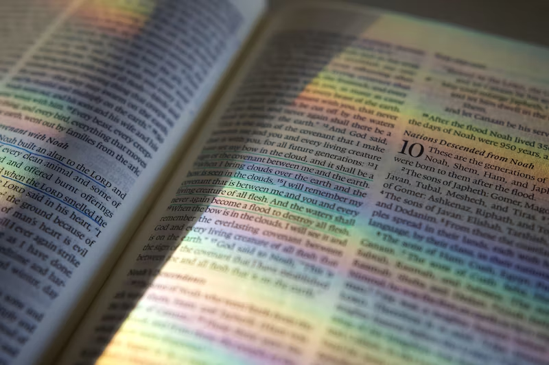 Bible chapters regarding the flood