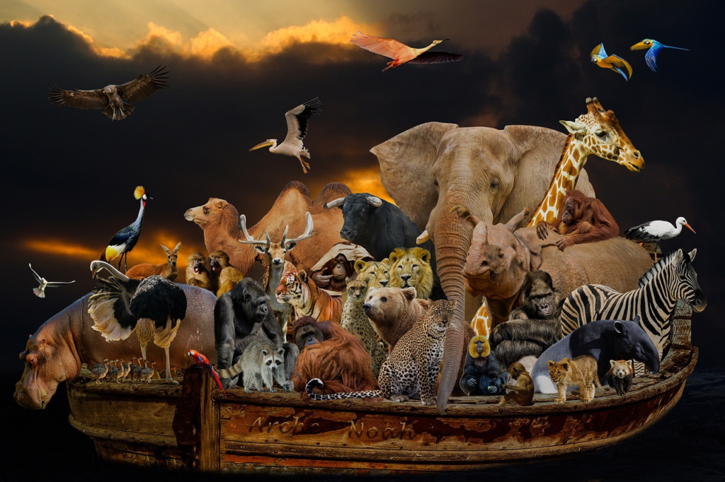 animals in the ark
