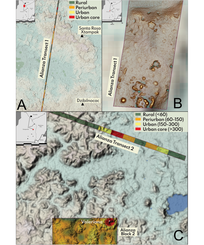 Figure 8. Close-ups of transects; A) Transect 1; B) southern tip of Transect 1; C) eastern end of Transect 2. All densities expressed as structures per square kilometre
