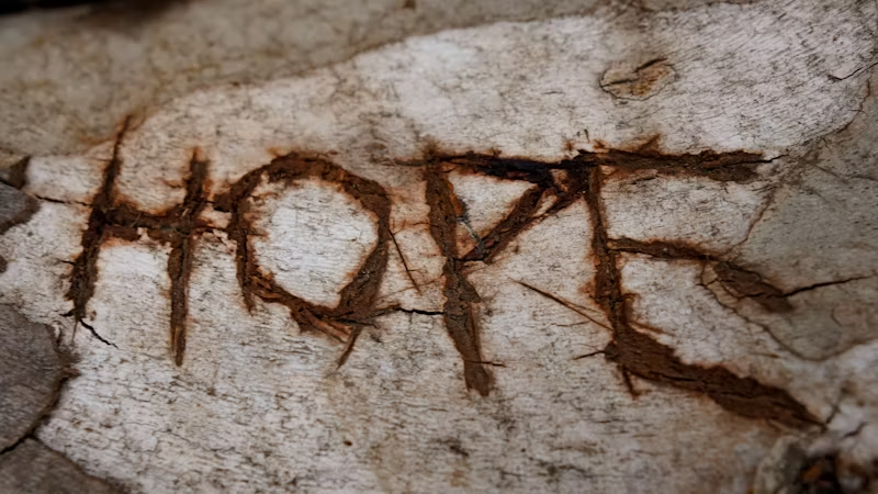 "hope" scratched into concrete