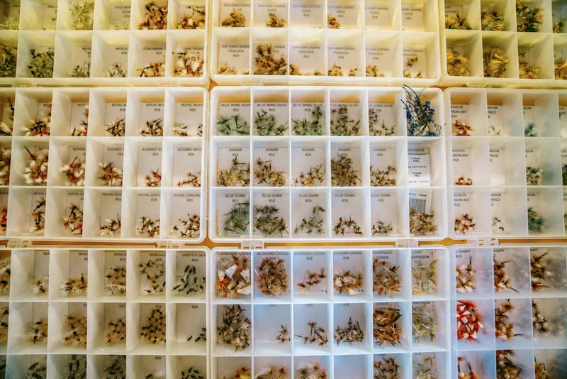 many compartments full of different things