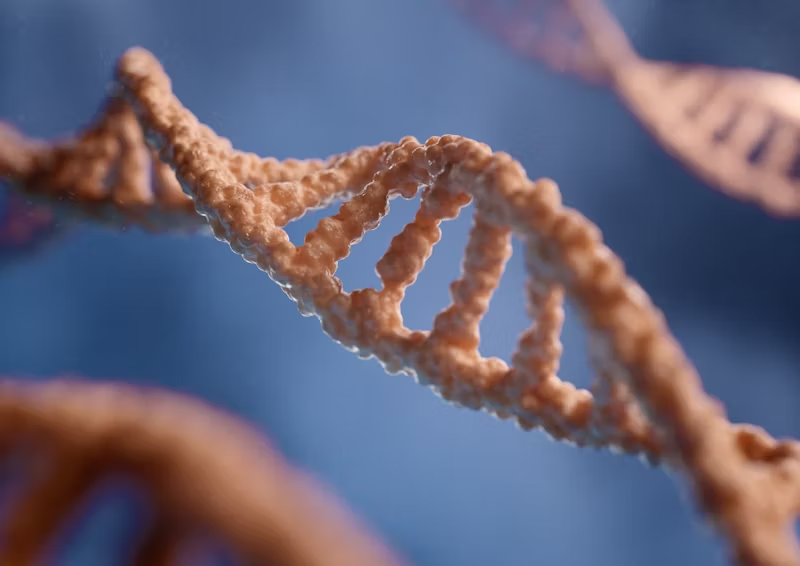 DNA sequence