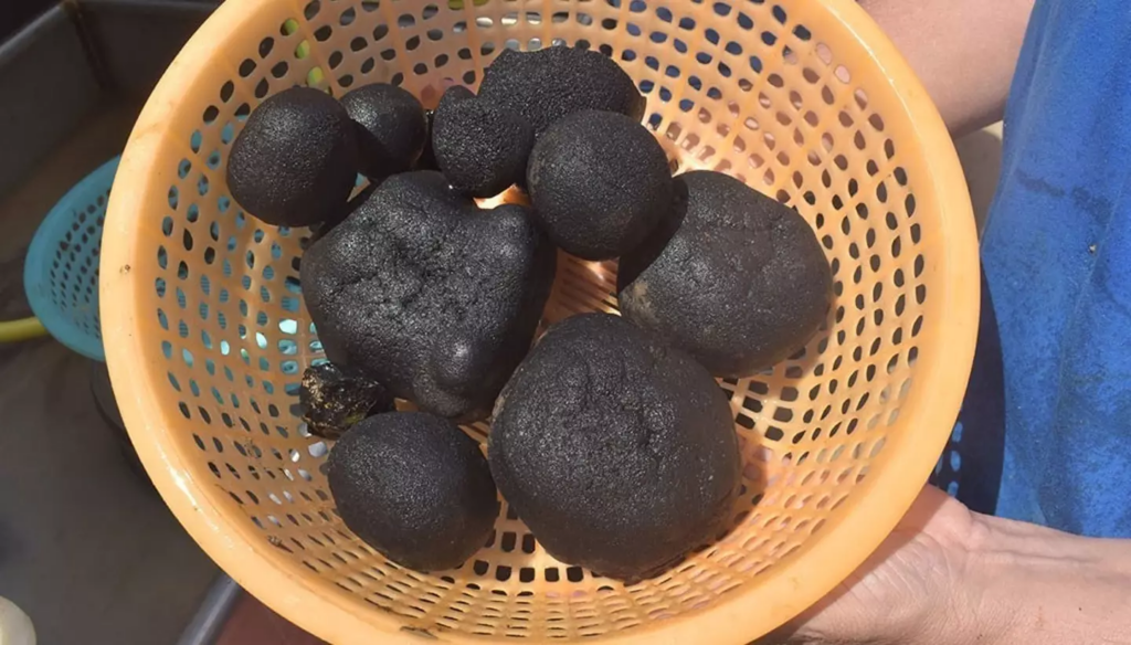 The discovery of the rare-Earth materials could boost Japan's economy and production significantly