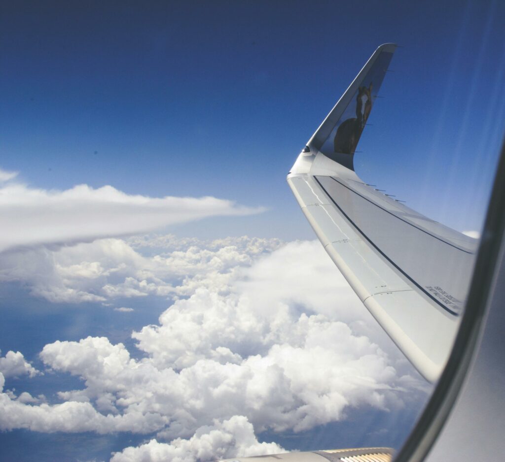 majestic view from an airline