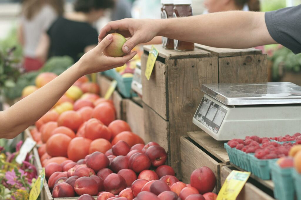 tomatoes sold in spain 