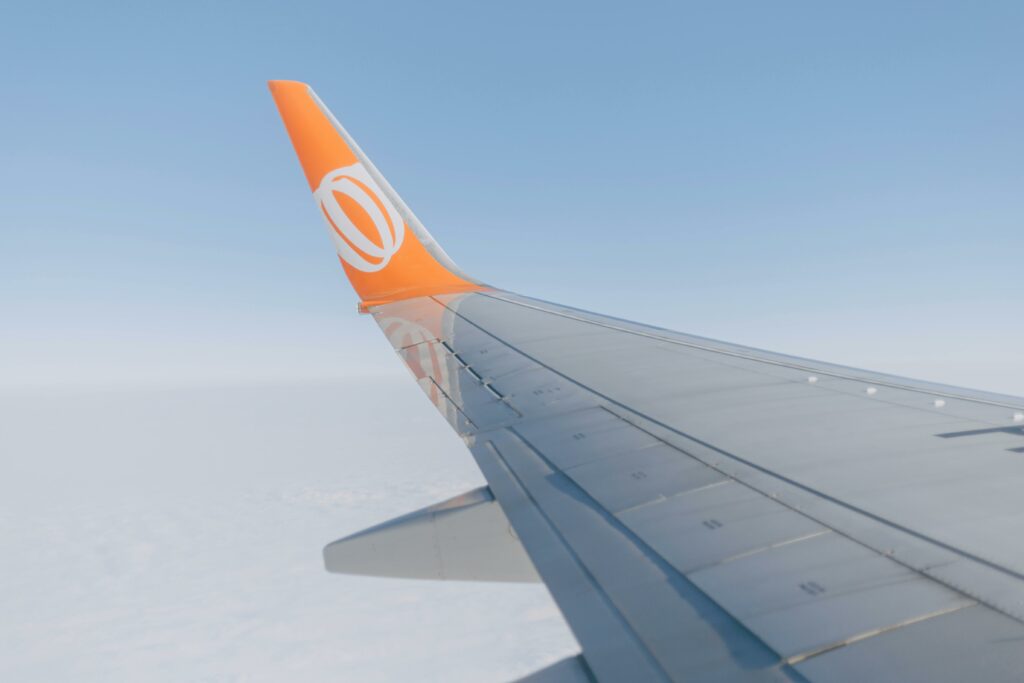majestic view from an airline